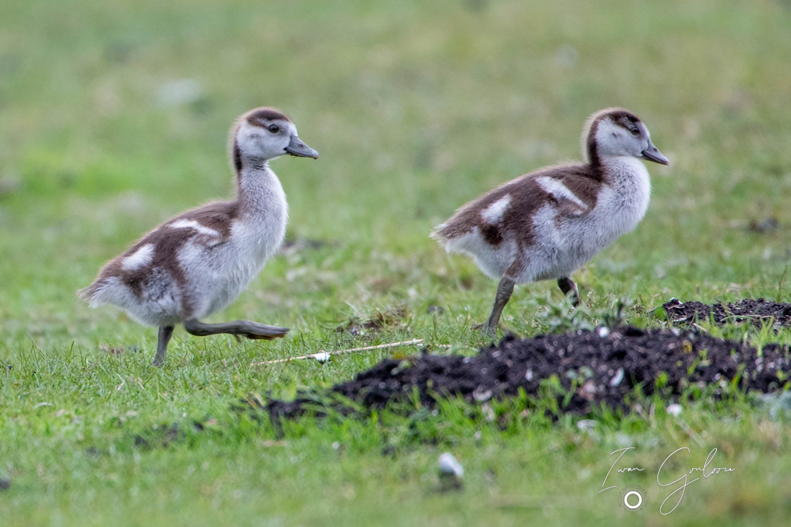 05 april 2022 154747 1DX47904